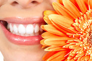 Gift Vouchers
